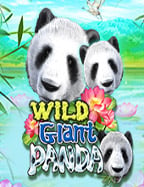 แจกเครดิตฟรี 1000 ไม่ต้องฝาก 2019 คุ้มค่ากับเกมสล็อต CQ9